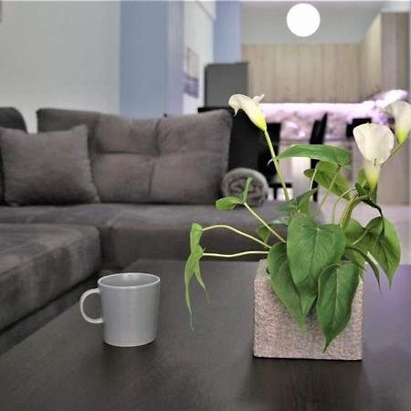 Lovely Apartment In The Center Of Athens. Kültér fotó
