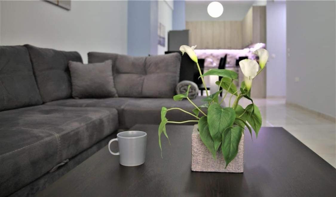 Lovely Apartment In The Center Of Athens. Kültér fotó